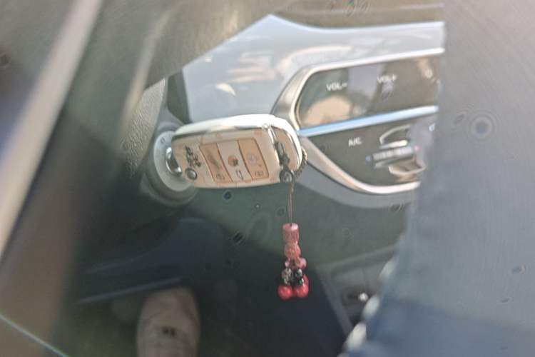Used CHANGAN Benni E-Star 2022 Qingxin Edition Colorful Model Lithium Iron Phosphate Vehicle Key