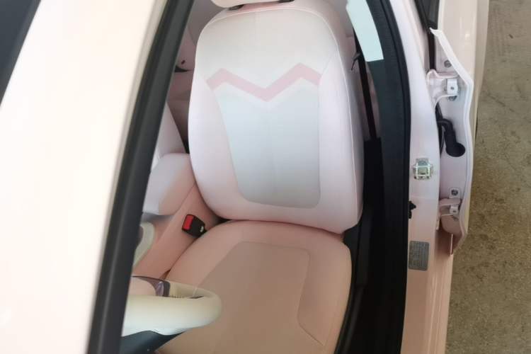 Used CHANGAN Benni E-Star 2023 Charming Edition Colorful Model Lithium-Ion Battery Left Front Seat