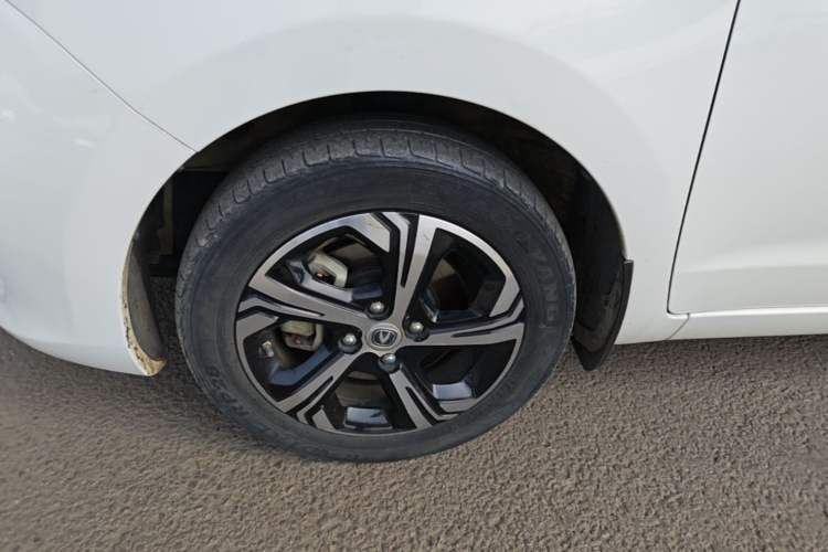 Used CHANGAN Benni E-Star 2023 Colorful Version Lithium Iron Phosphate Exterior 4