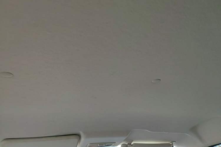 Used CHANGAN Benni E-Star 2023 Dynamic Edition Colorful Model Headliner
