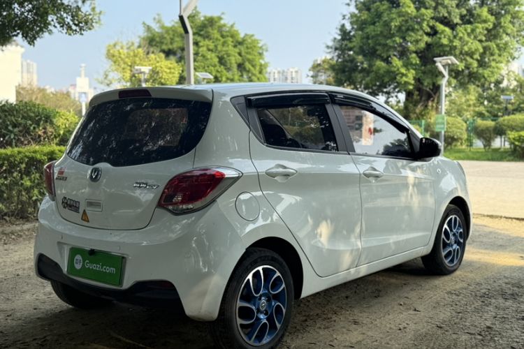 Used CHANGAN Benni EV 2019 EV360 Standard Model Exterior 4