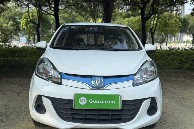 Used CHANGAN Benni EV 2019 EV360 Standard Model Exterior 5
