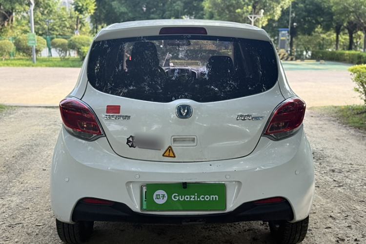 Used CHANGAN Benni EV 2019 EV360 Standard Model Exterior 6