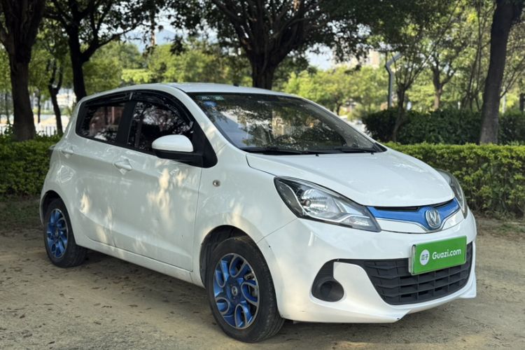 Used CHANGAN Benni EV 2019 EV360 Standard Model Exterior 7