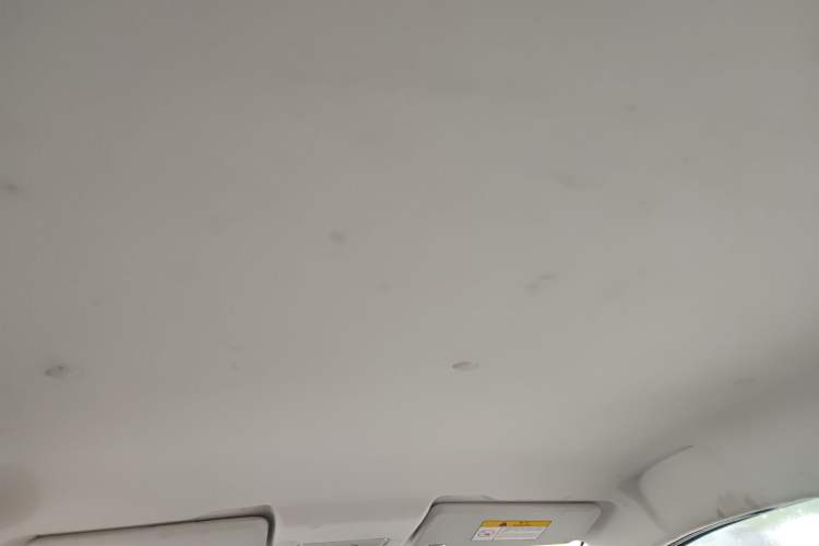 Used CHANGAN Benni EV 2017 Pure Electric 180 km Standard Model Headliner