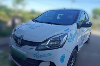 Used CHANGAN Benni EV 2018 EV260 Standard Model