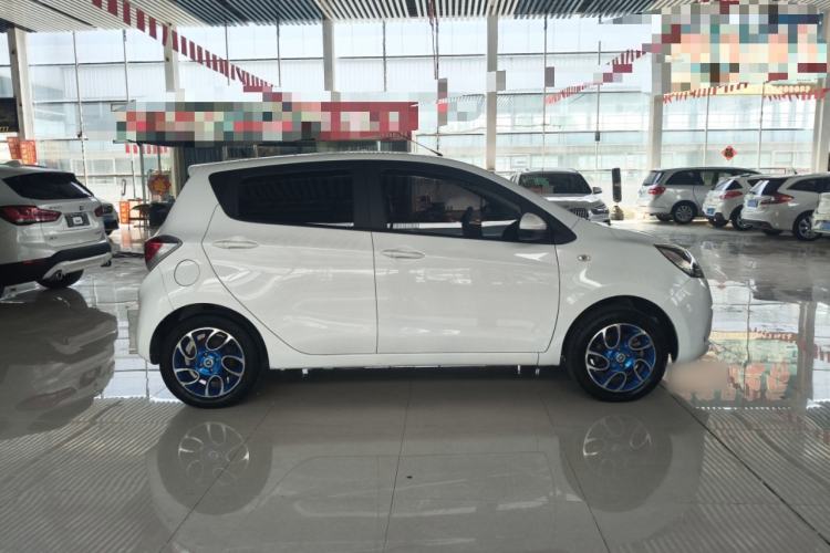 Used CHANGAN Benni EV 2018 EV260 Fashion Edition Exterior 3