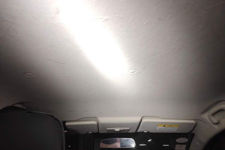 Used CHANGAN Benni EV 2018 EV260 Standard Model Headliner