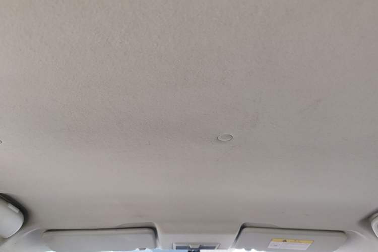 Used CHANGAN Benni EV 2018 EV260 Standard Model Headliner