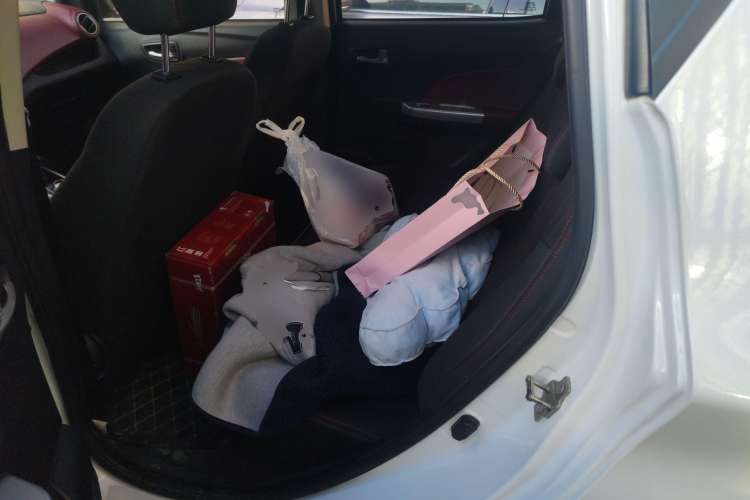 Used CHANGAN Benni EV 2018 EV260 Standard Model Left Rear Seat