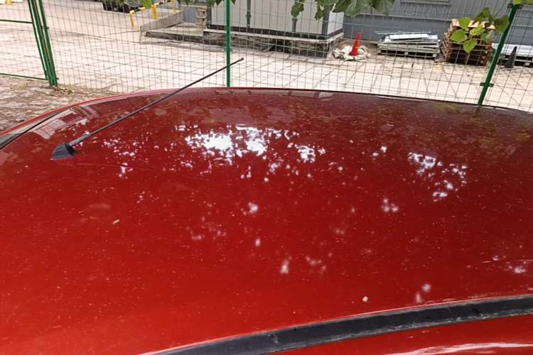 Used CHANGAN Benni EV 2019 EV360 Standard Model Roof