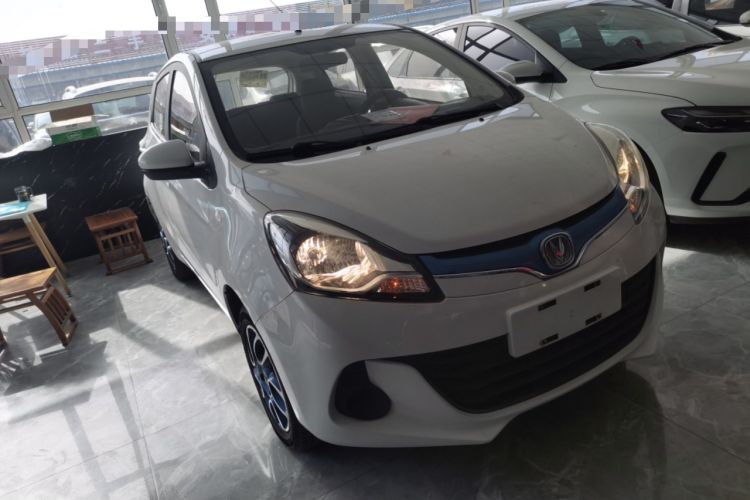Used CHANGAN Benni EV 2019 EV360 Standard Model Exterior 1