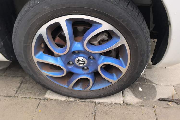Used CHANGAN Benni EV 2019 EV360 Standard Model Exterior 7
