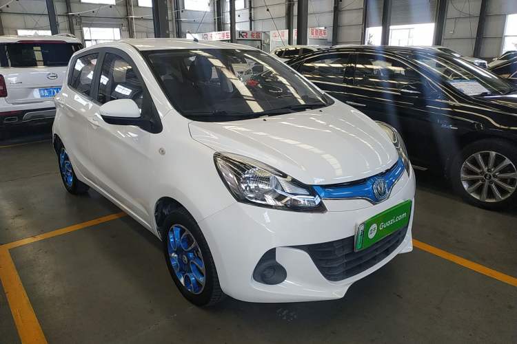 Used CHANGAN Benni EV 2019 EV360 Standard Model Front Right 45 Deg