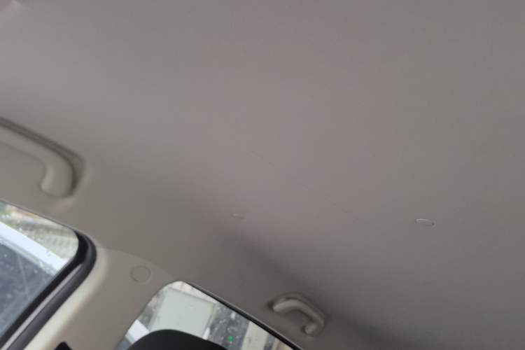 Used CHANGAN Benni EV 2019 EV360 Standard Model Headliner