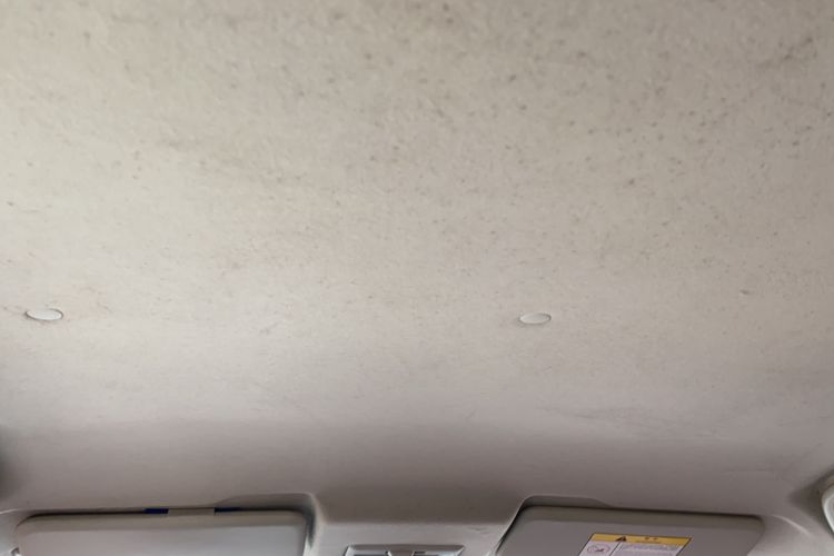 Used CHANGAN Benni EV 2019 EV360 Standard Model Headliner