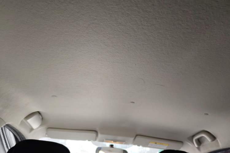 Used CHANGAN Benni EV 2019 EV360 Standard Model Headliner