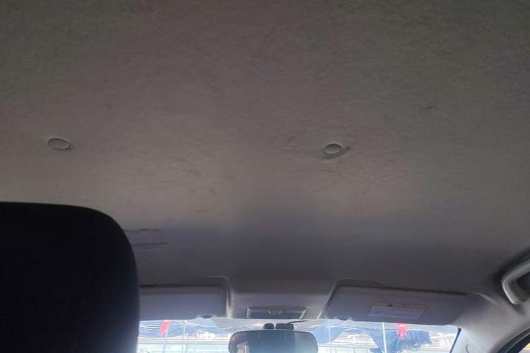 Used CHANGAN Benni EV 2019 EV360 Standard Model Headliner