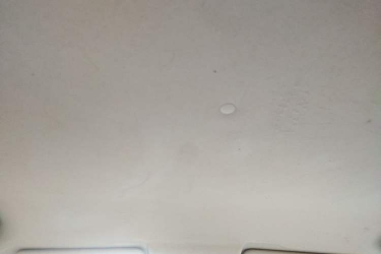 Used CHANGAN Benni EV 2019 EV360 Standard Model Headliner