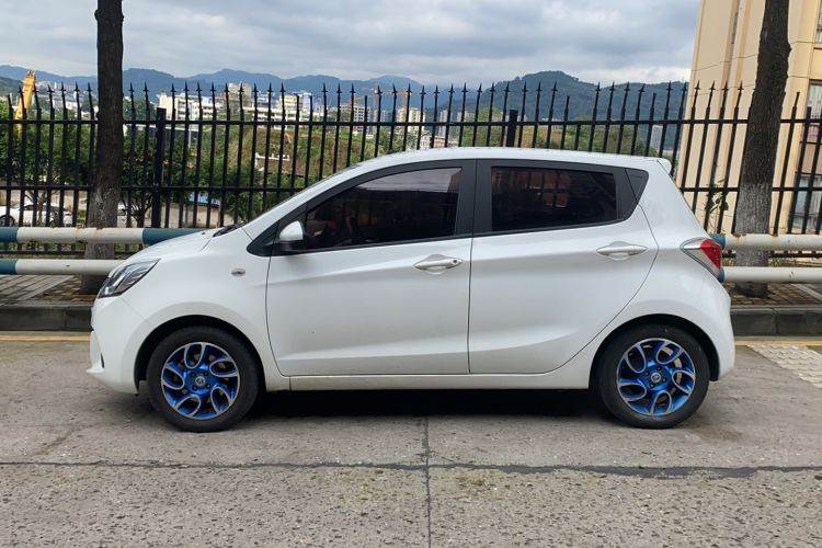 Used CHANGAN Benni EV 2019 EV360 Standard Model Left Side
