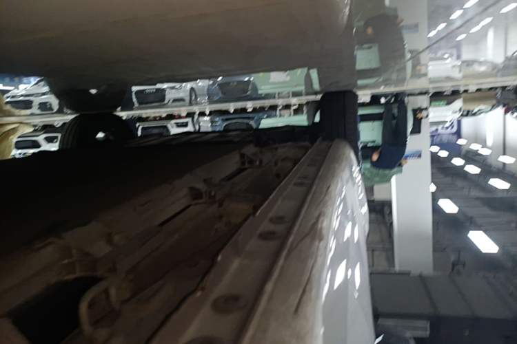 Used CHANGAN Benni EV 2019 Facelifted EV360 Standard Version Left Side Sill