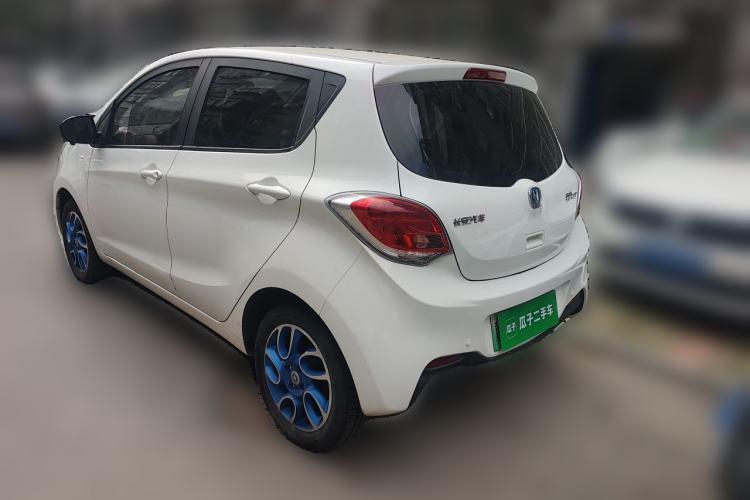 Used CHANGAN Benni EV 2019 EV360 Standard Model Rear Left 45 Deg