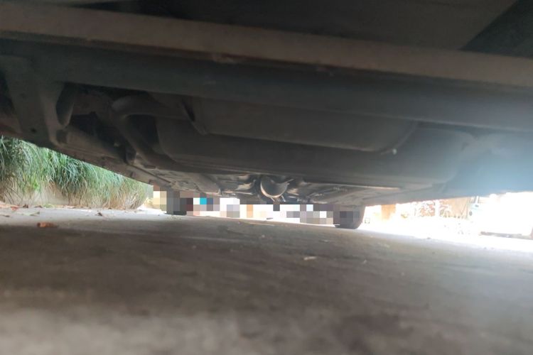 Used CHANGAN Benni mini 2010 1.0L Manual Standard Edition Chassis Rear