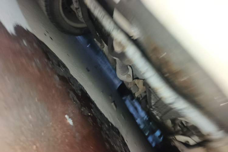 Used CHANGAN Benni mini 2012 1.0L Manual Fashion Edition China IV Standard Chassis Front