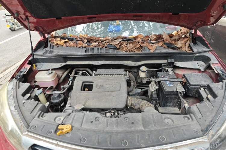 Used CHANGAN CS15 2016 1.5L Automatic Fashion Edition Engine Bay