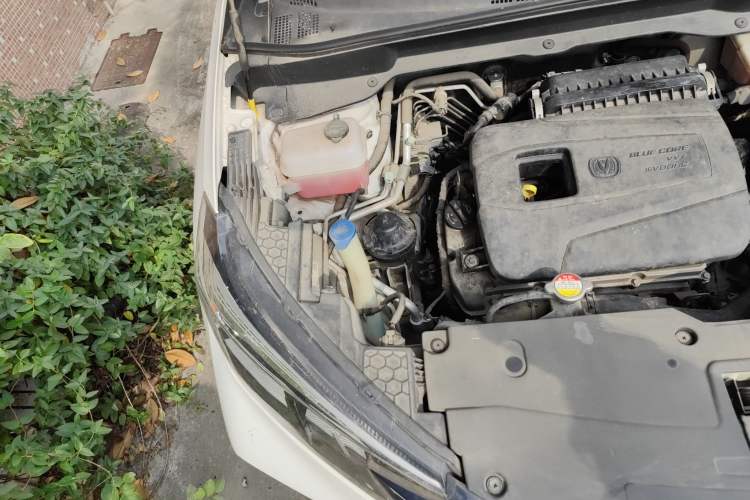 Used CHANGAN CS15 2019 1.5L Manual Entry-Level Version China VI Standard Engine Bay Right