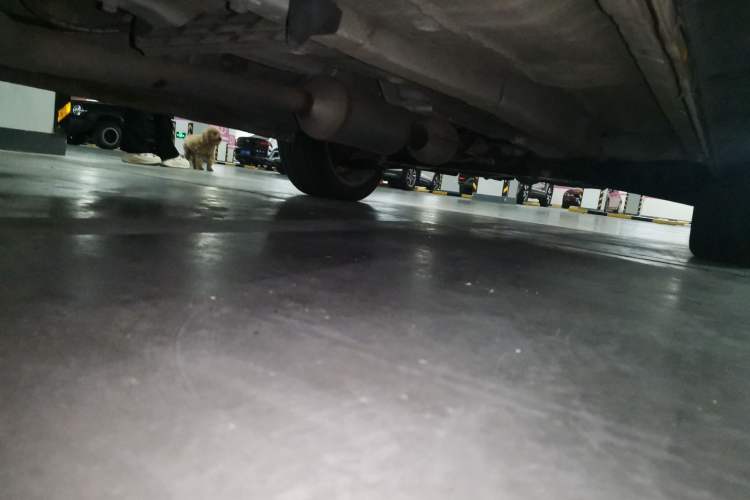 Used CHANGAN CS35 2017 1.6L Automatic Luxury Model Chassis Rear Right