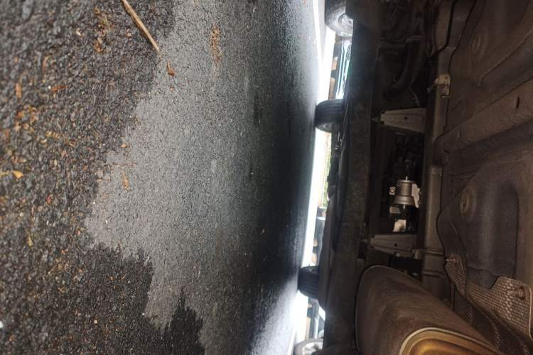 Used CHANGAN CS35PLUS 2018 1.6L Automatic Coolline Version China V Standard Chassis Rear