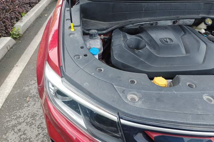 Used CHANGAN CS35PLUS 2019 1.4T DCT Chuanlian Blue Whale Edition Engine Bay Right