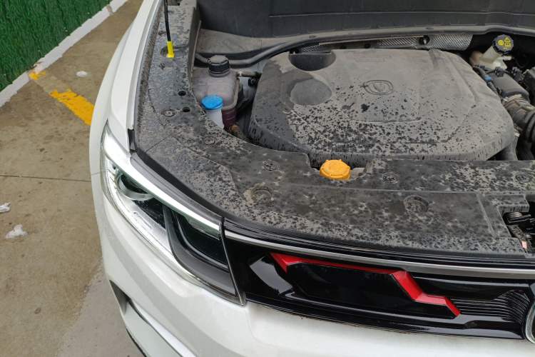 Used CHANGAN CS35PLUS 2019 1.4T DCT Chuanlian Blue Whale Edition Engine Bay Right