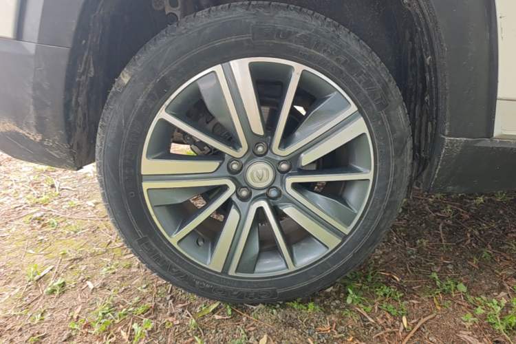 Used CHANGAN CS35PLUS 2019 1.4T DCT Chuanlian Blue Whale Edition Exterior 5