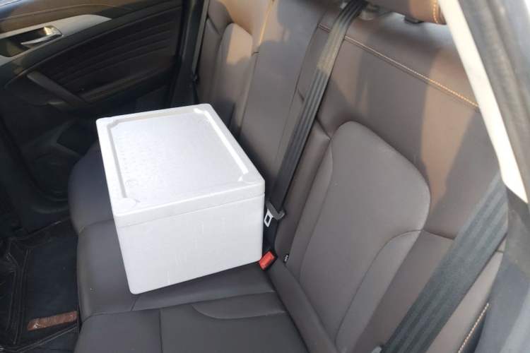 Used CHANGAN CS35PLUS 2019 1.6L Manual Chuanlian Edition Left Rear Seat