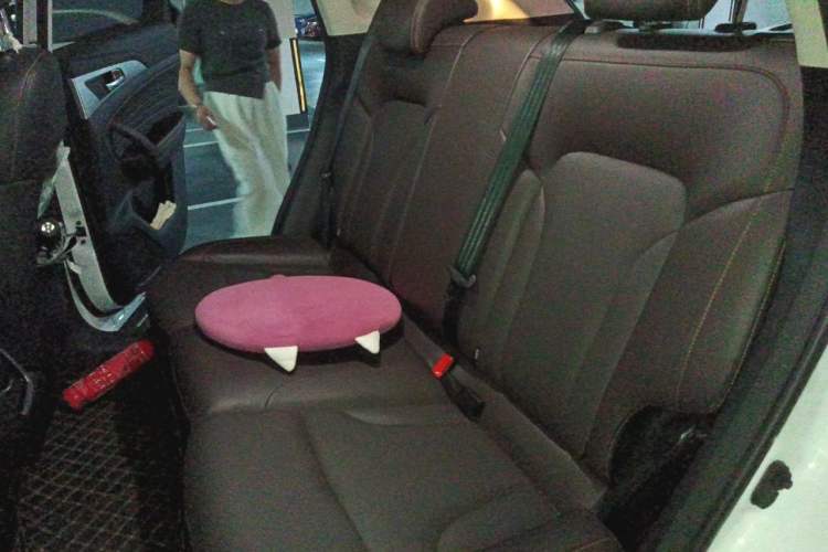 Used CHANGAN CS35PLUS 2019 1.6L Automatic CoolLink Edition Left Rear Seat