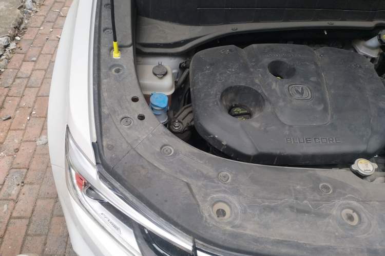 Used CHANGAN CS35PLUS 2022 1.6L Manual Luxury Edition Engine Bay Right