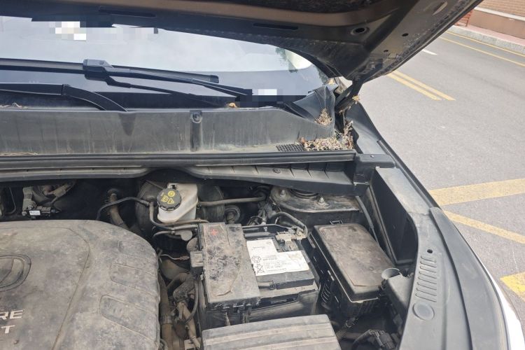 Used CHANGAN CS55 2017 1.5T Manual Xuan Dong Model Engine Bay Left