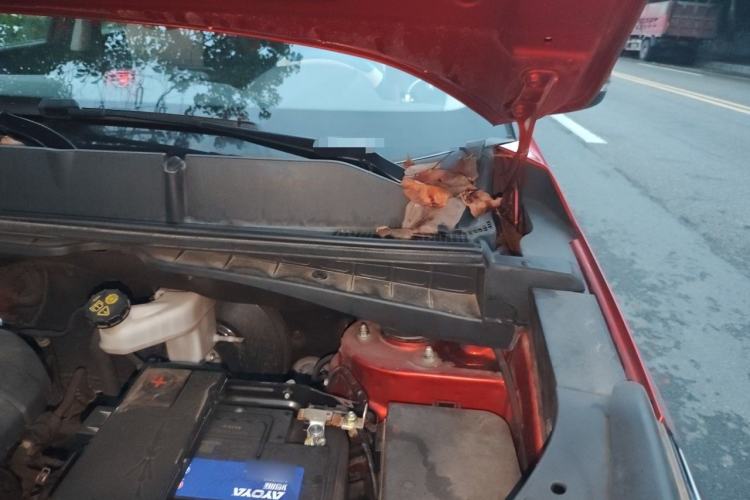 Used CHANGAN CS55 2017 1.5T Automatic Colorful Edition Engine Bay Left