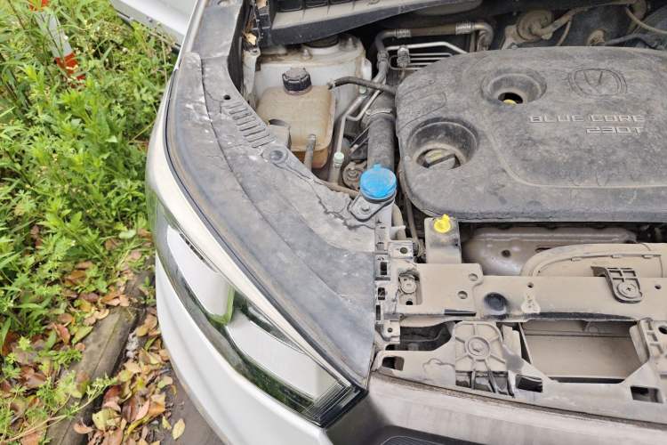 Used CHANGAN CS55 2017 1.5T Automatic Colorful Edition Engine Bay Right
