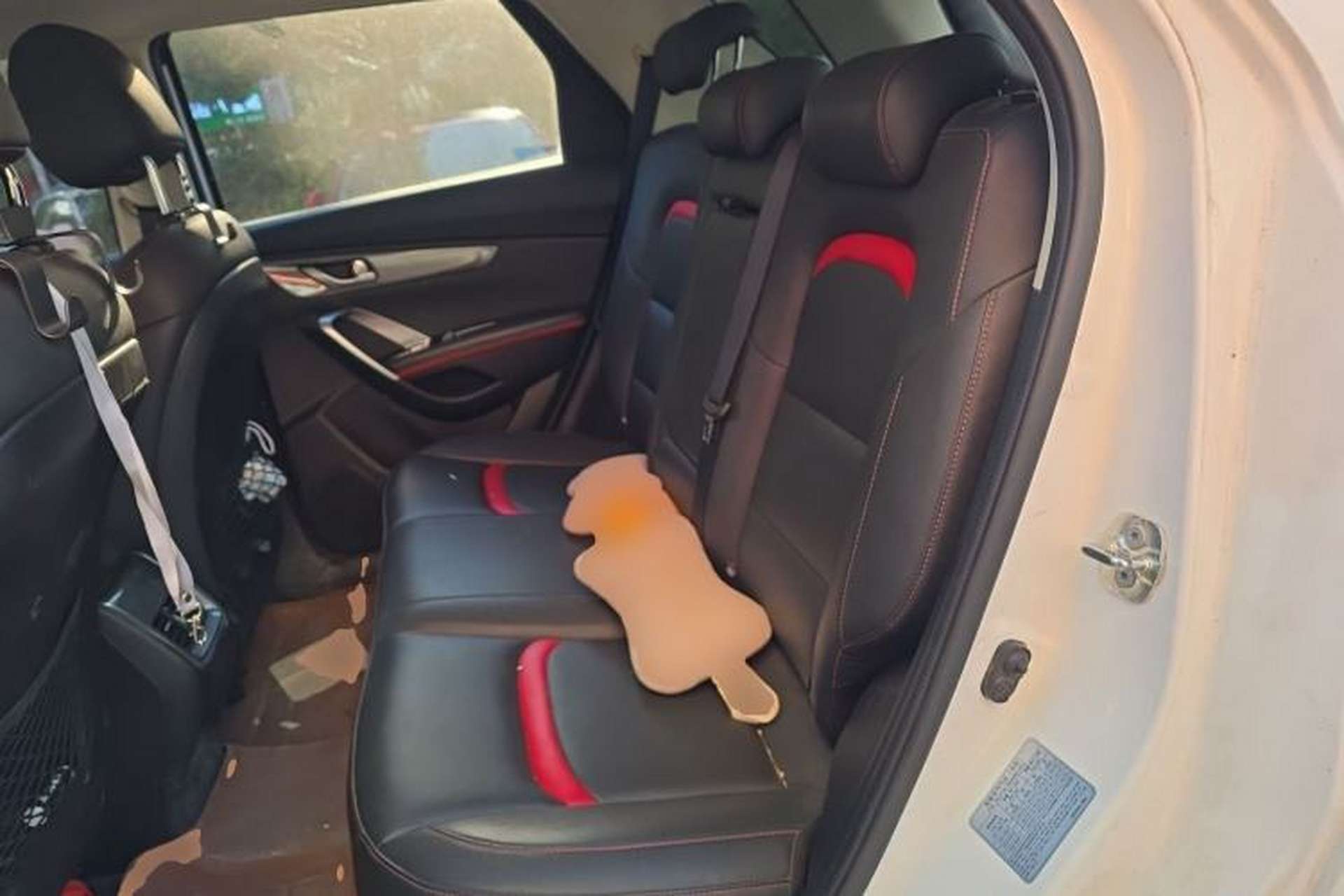 Used CHANGAN CS55 2017 1.5T Manual Xuan Dong Model Left Rear Seat