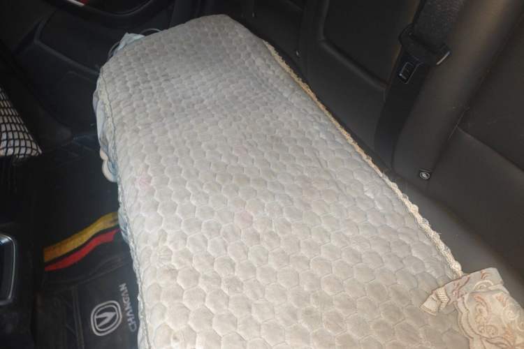 Used CHANGAN CS55 2017 1.5T Manual Colorful Edition Left Rear Seat