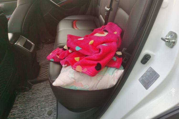 Used CHANGAN CS55 2017 1.5T Manual Colorful Edition Left Rear Seat
