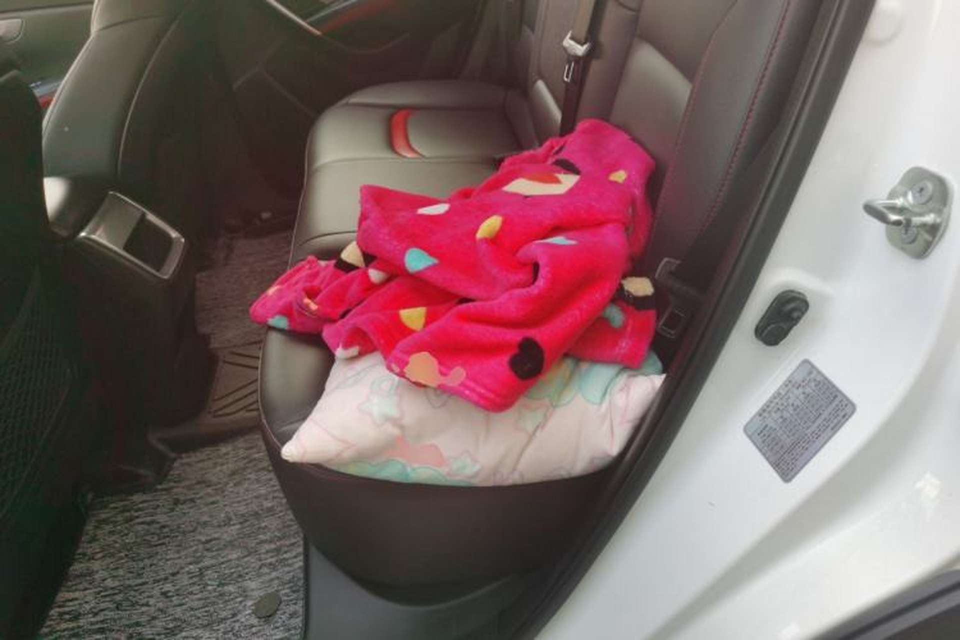 Used CHANGAN CS55 2017 1.5T Manual Colorful Edition Left Rear Seat