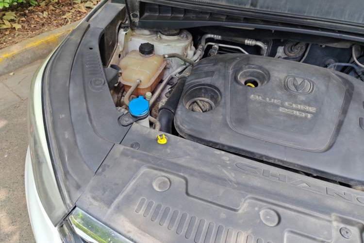 Used CHANGAN CS55 2018 1.5T Manual Colorful Model China V Standard Engine Bay Right