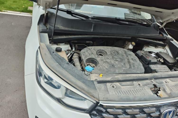 Used CHANGAN CS55 2018 1.5T Manual Colorful Model China V Standard Engine Bay Right