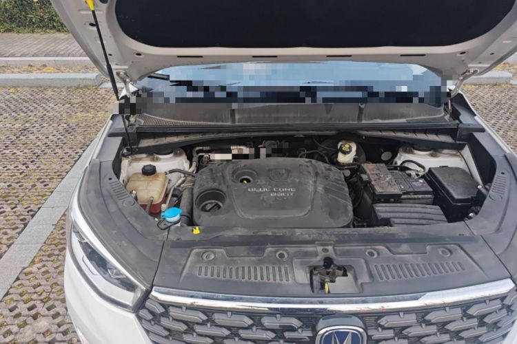 Used CHANGAN CS55 2018 1.5T Automatic Xuan Dong Model China V Standard Engine Bay Right
