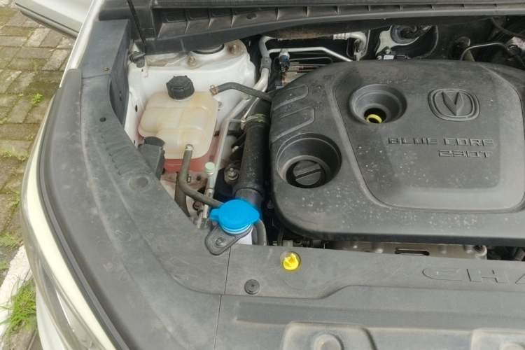 Used CHANGAN CS55 2018 1.5T Automatic Colorful Edition China V Standard Engine Bay Right