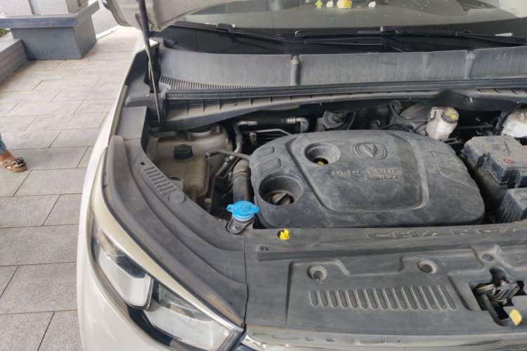 Used CHANGAN CS55 2018 1.5T Manual Colorful Model China V Standard Engine Bay Right